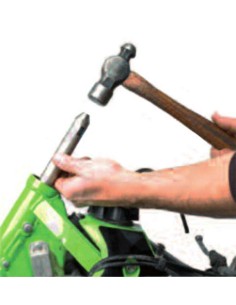 BUZZETTI Bearing Cups... 2