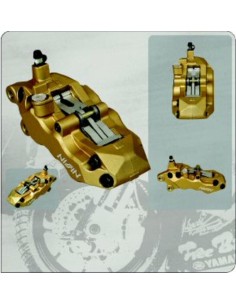 ETRIER 6 PISTONS GOLD DROIT 2