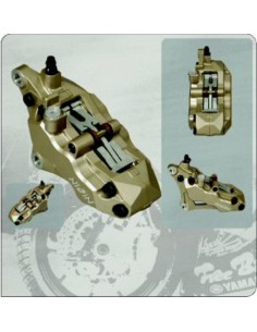 ETRIER 6 PISTONI GOLD... 2