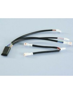 POLINI Hi-Speed E-Bike...