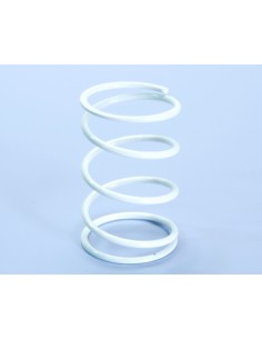 POLINI Reinforced...