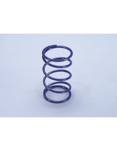 POLINI Compression Spring...