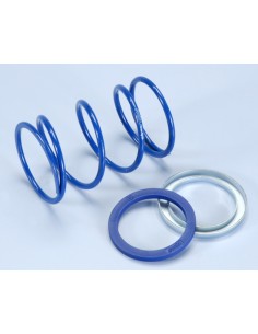 POLINI Compression Spring...