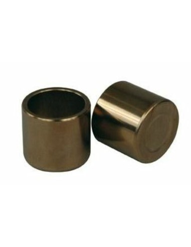 Nissin rear caliper pistons repair kit