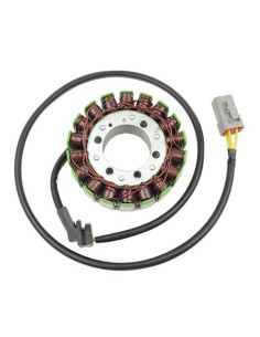 ELECTROSPORT Stator - Cam Am