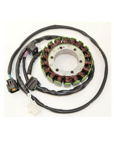 ELECTROSPORT Stator