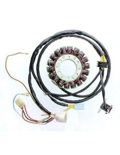 ELECTROSPORT Stator -...
