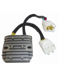 TECNIUM by DZE Regulator