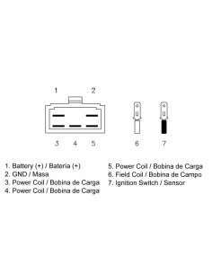 TECNIUM by DZE Regulator 2