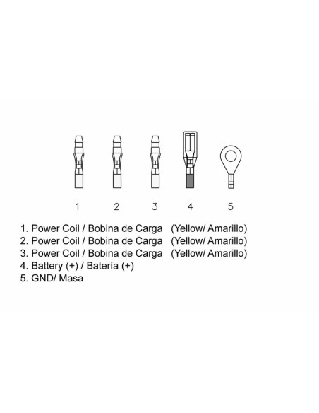 TECNIUM by DZE Regulator