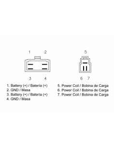 TECNIUM by DZE Regulator 2