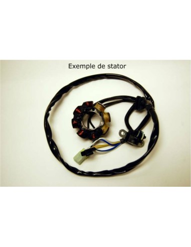 ELECTROSPORT Stator - Kawasaki