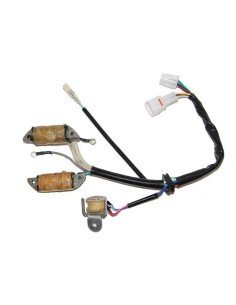 ELECTROSPORT Stator -...