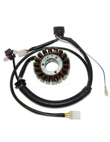 ELECTROSPORT Stator - Polaris