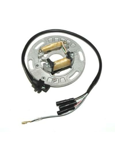 ELECTROSPORT Stator - Kawasaki