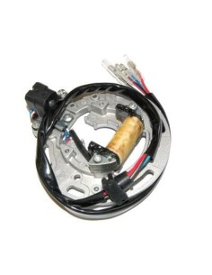 ELECTROSPORT Stator - Kawasaki