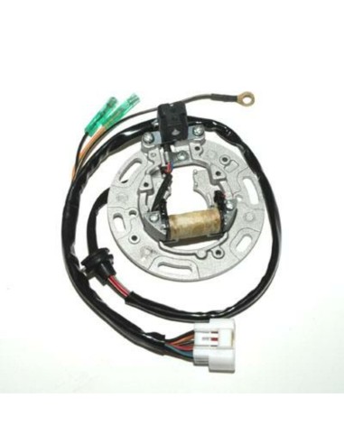 ELECTROSPORT Stator - Kawasaki