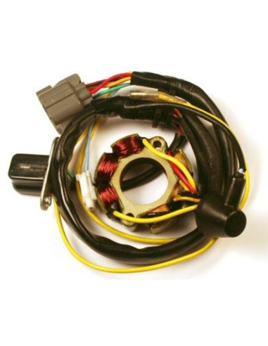 ELECTROSPORT Stator & Lightning Coil - Suzuki RM-Z250