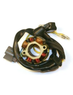 ELECTROSPORT Stator &...