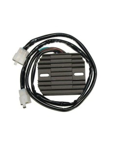 ELECTROSPORT Regulator -...