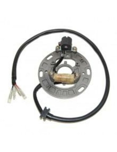 ELECTROSPORT Stator - Kawasaki KX125