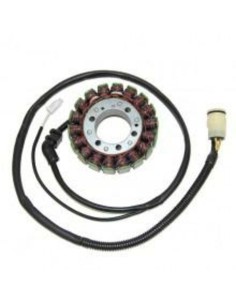 ELECTROSPORT Stator -...