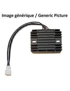 ELECTROSPORT Regulator -...