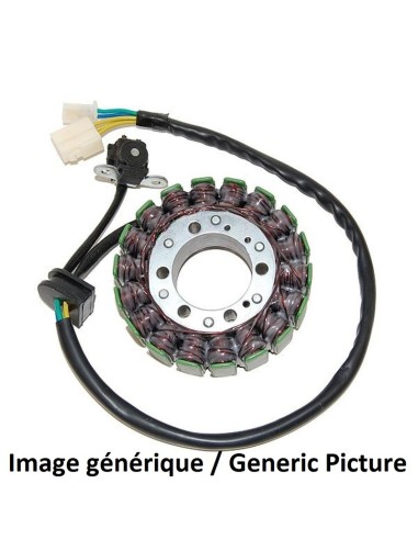 ELECTROSPORT Stator - Honda CBF1000