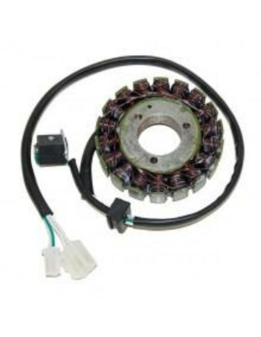 ELECTROSPORT Stator - Suzuki DL650 V-Storm