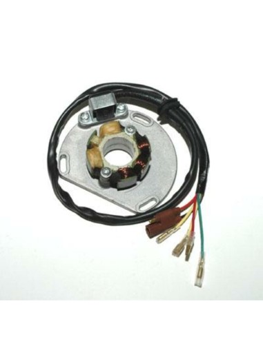 ELECTROSPORT Stator - KTM