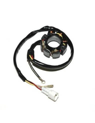 ELECTROSPORT Stator - KTM