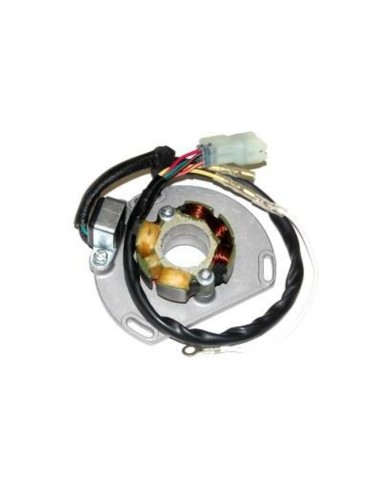 ELECTROSPORT Stator & Lightning Coil - KTM
