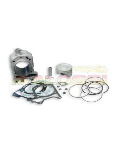 MALOSSI H2O Cylinder Kit -...