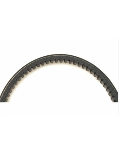 TECNIUM Standard Transmission Belt