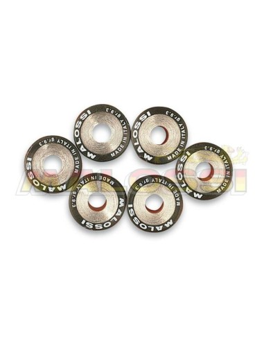 MALOSSI Variator Rollers Set 20x17mm 7,5gr - 6 pieces