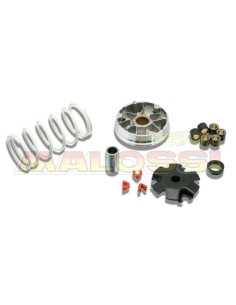 MALOSSI Multivar Variator -...