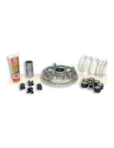 Variator MALOSSI Multivar...