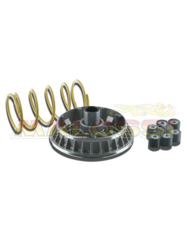 MALOSSI Multivar 2000 Variator - Suzuki Burgman 400 K10 ie