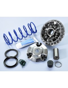 POLINI Hi-Speed Variator -...