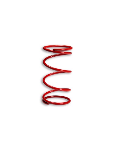 MALOSSI Racing Compression Spring