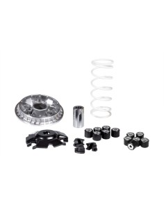 MALOSSI Multivar 2000 Variator