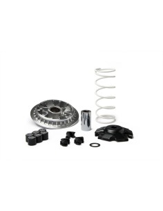 MALOSSI Multivar 2000 Variator