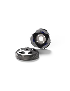 MALOSSI Maxi Fly System...