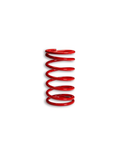 MALOSSI Racing Compression Spring