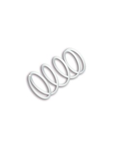 MALOSSI Reinforced...