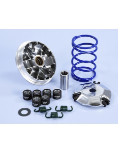 Variator de mare viteză POLINI