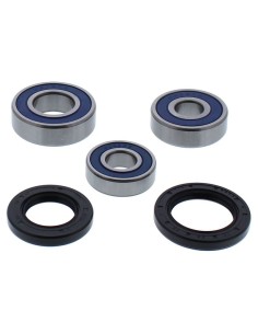 ALL BALLS Wheel Bearing Kit
