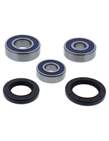 ALL BALLS Rear Wheel Bearing Kit