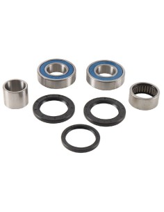 ALL BALLS Wheel Bearing Kit