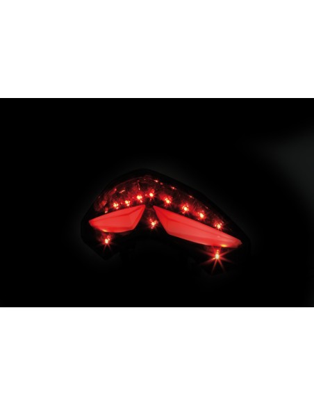 SHIN YO LED Taillight - Ducati Multistrada 1200